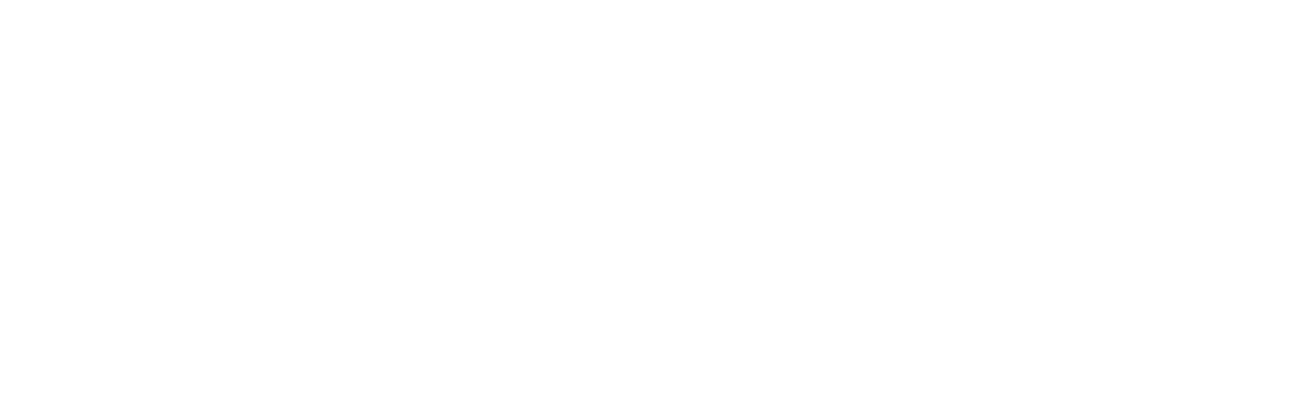 Bally Bet logo